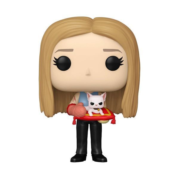 Фигурка Funko Pop Friends Rachel Green with Cat / Фанко Поп Друзья Рейчел Грин 1650 F RG 1650 фото