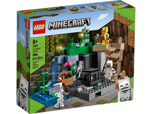 Конструктор LEGO Minecraft Подземелье скелетов (21189) 21189 фото