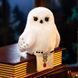 Плюшевий брелок Pop Mart Gong Harry Potter Owl Plush Pendant / Поп Март Гаррі Поттер Сов popmarthp02 фото 3