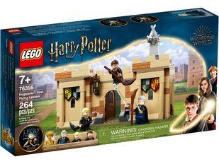 Конструктор LEGO Harry Potter Хогвартс: первый урок полётов (76395) 76395 фото